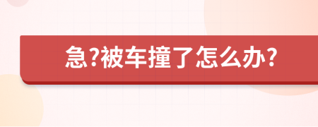 急?被车撞了怎么办?