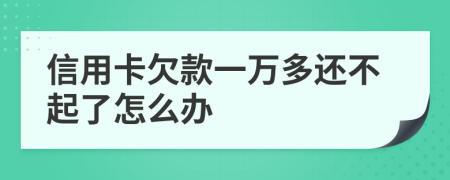 信用卡欠款一万多还不起了怎么办