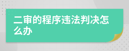 二审的程序违法判决怎么办