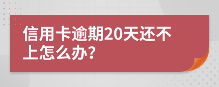 信用卡逾期20天还不上怎么办？