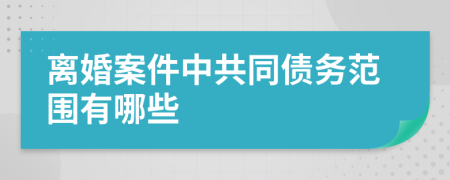 离婚案件中共同债务范围有哪些