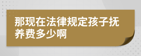 那现在法律规定孩子抚养费多少啊