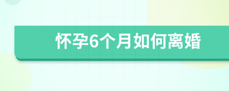 怀孕6个月如何离婚