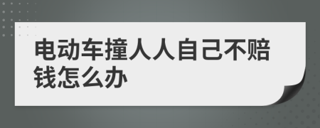 电动车撞人人自己不赔钱怎么办