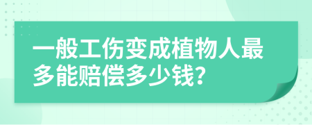 一般工伤变成植物人最多能赔偿多少钱？