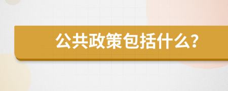 公共政策包括什么？