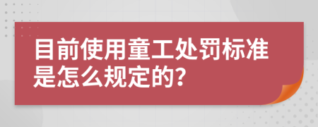 目前使用童工处罚标准是怎么规定的？