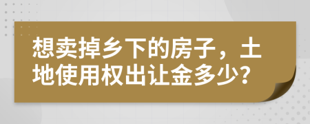 想卖掉乡下的房子，土地使用权出让金多少？