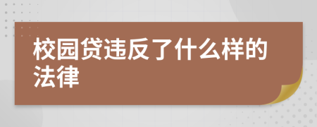 校园贷违反了什么样的法律