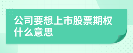 公司要想上市股票期权什么意思