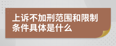 上诉不加刑范围和限制条件具体是什么