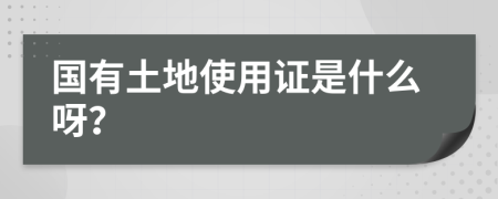 国有土地使用证是什么呀？