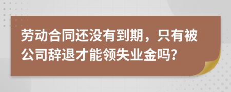 劳动合同还没有到期，只有被公司辞退才能领失业金吗？