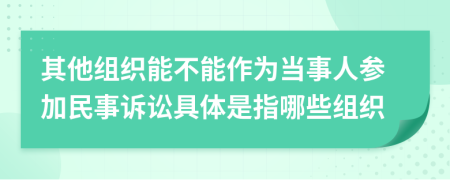 其他组织能不能作为当事人参加民事诉讼具体是指哪些组织