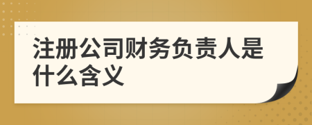 注册公司财务负责人是什么含义