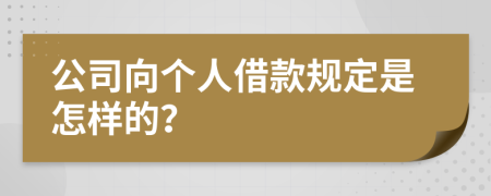 公司向个人借款规定是怎样的？