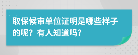 取保候审单位证明是哪些样子的呢？有人知道吗？