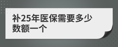 补25年医保需要多少数额一个