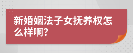 新婚姻法子女抚养权怎么样啊？