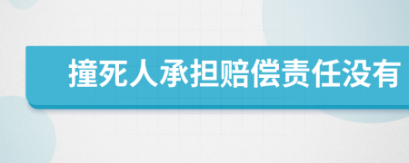 撞死人承担赔偿责任没有