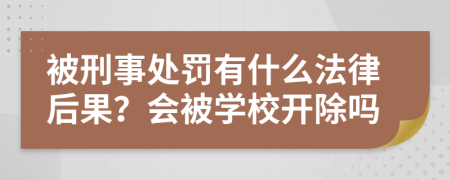 被刑事处罚有什么法律后果？会被学校开除吗