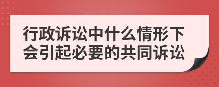 行政诉讼中什么情形下会引起必要的共同诉讼