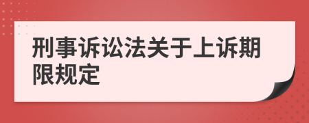 刑事诉讼法关于上诉期限规定