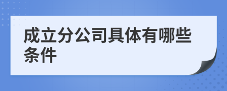 成立分公司具体有哪些条件