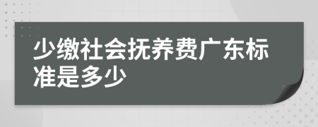 少缴社会抚养费广东标准是多少