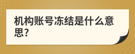 机构账号冻结是什么意思?