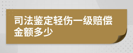 司法鉴定轻伤一级赔偿金额多少