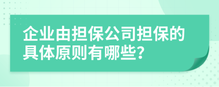 企业由担保公司担保的具体原则有哪些？