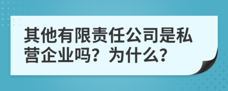 其他有限责任公司是私营企业吗？为什么？