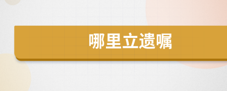 哪里立遗嘱