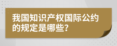 我国知识产权国际公约的规定是哪些？