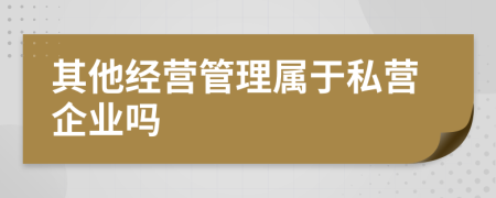 其他经营管理属于私营企业吗