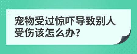 宠物受过惊吓导致别人受伤该怎么办？