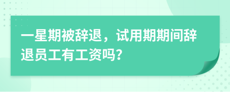 一星期被辞退，试用期期间辞退员工有工资吗？