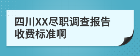 四川XX尽职调查报告收费标准啊