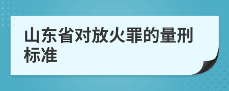 山东省对放火罪的量刑标准