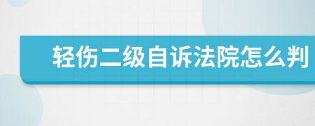 轻伤二级自诉法院怎么判