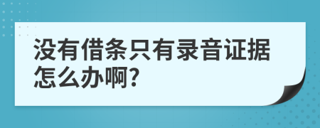 没有借条只有录音证据怎么办啊?