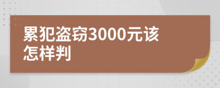 累犯盗窃3000元该怎样判