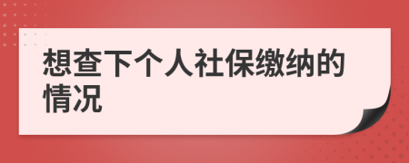 想查下个人社保缴纳的情况