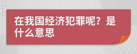 在我国经济犯罪呢？是什么意思