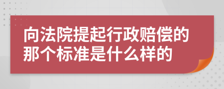 向法院提起行政赔偿的那个标准是什么样的