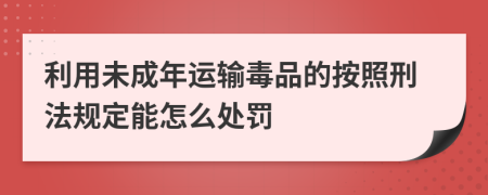 利用未成年运输毒品的按照刑法规定能怎么处罚