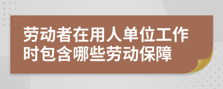 劳动者在用人单位工作时包含哪些劳动保障