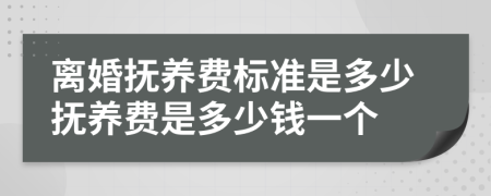 离婚抚养费标准是多少抚养费是多少钱一个