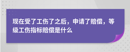 现在受了工伤了之后，申请了赔偿，等级工伤指标赔偿是什么